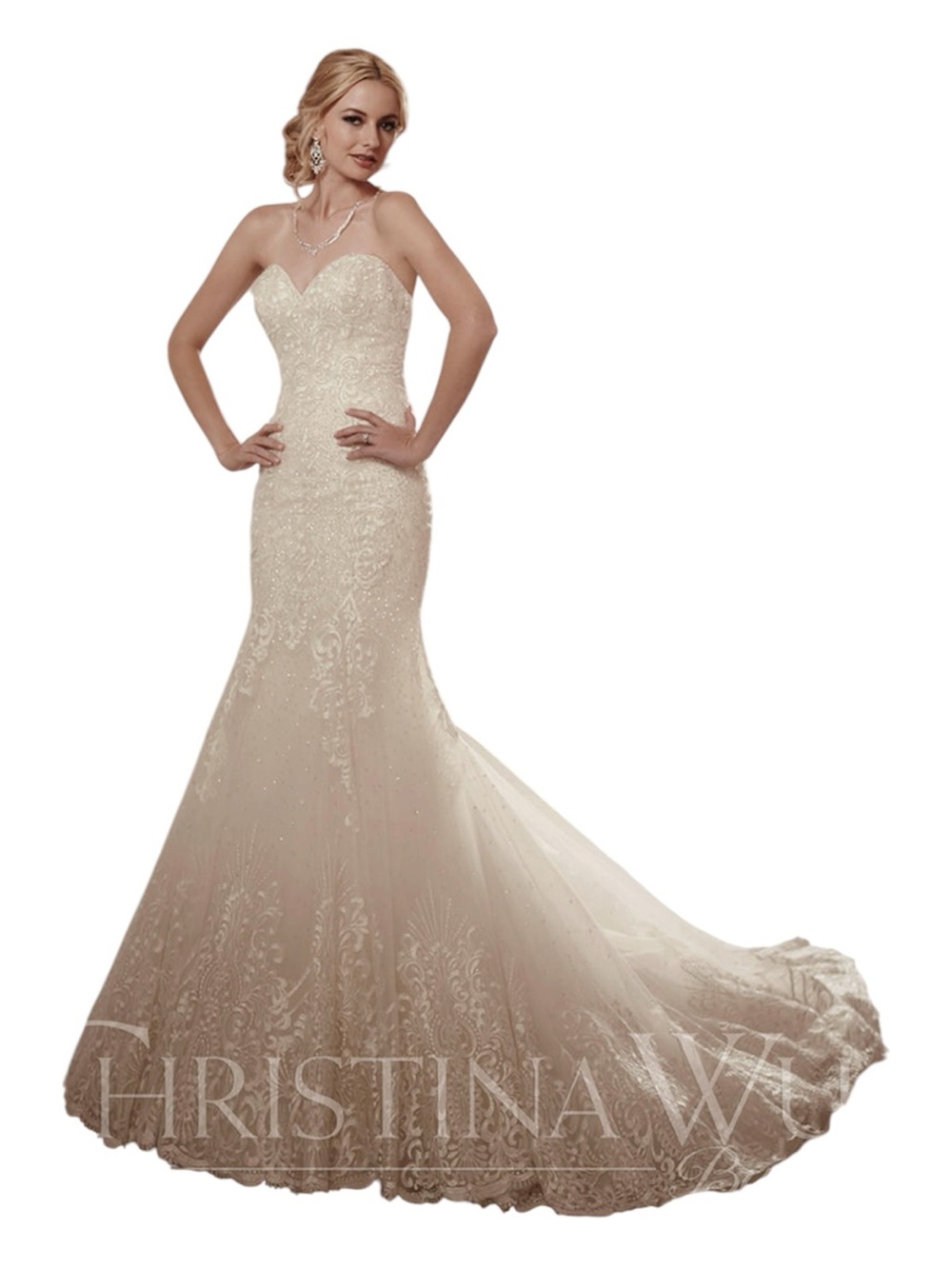 Christina Wu Strapless Wedding Gown